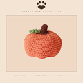 Mirage Pet Knit Knacks Fall Pumpkin Organic Cotton Small D
